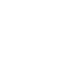 Real-Time Insights